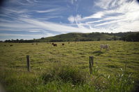 Annas Retreat - Accommodation Mt Buller