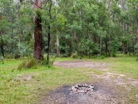 Blue Gum Flat campground - Foster Accommodation