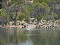 Boondi Rock Camp at Goldfields Woodlands National Park - Accommodation Airlie Beach