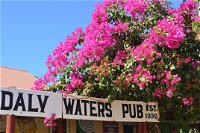 Daly Waters Historic Pub - WA Accommodation
