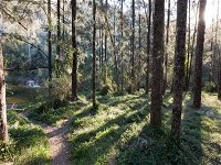 Deua River campgrounds - Accommodation Sunshine Coast