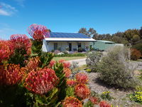 Frangipani Cottage - Tourism Adelaide