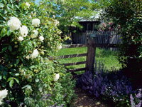 Hamilton's Cottage Collection and Country Gardens - Edwards - Accommodation Tasmania