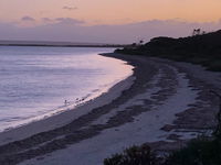 Island Chalet Kangaroo Island - Carnarvon Accommodation