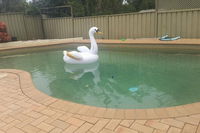 Landy's Holiday House - Accommodation Mount Tamborine