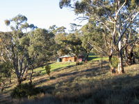 Molly's Chase - Accommodation Mermaid Beach