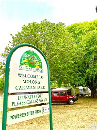 Molong Caravan Park - Your Accommodation