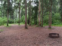 Murphys Glen campground - Accommodation Cooktown