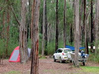 Wallingat River campground - Newcastle Accommodation