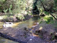 Wheeny Creek campground - Whitsundays Tourism
