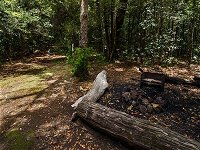 Wombat Creek campground - Whitsundays Tourism