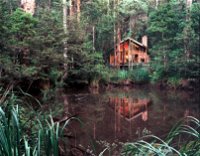 Woodlands Rainforest Retreat - St Kilda Accommodation