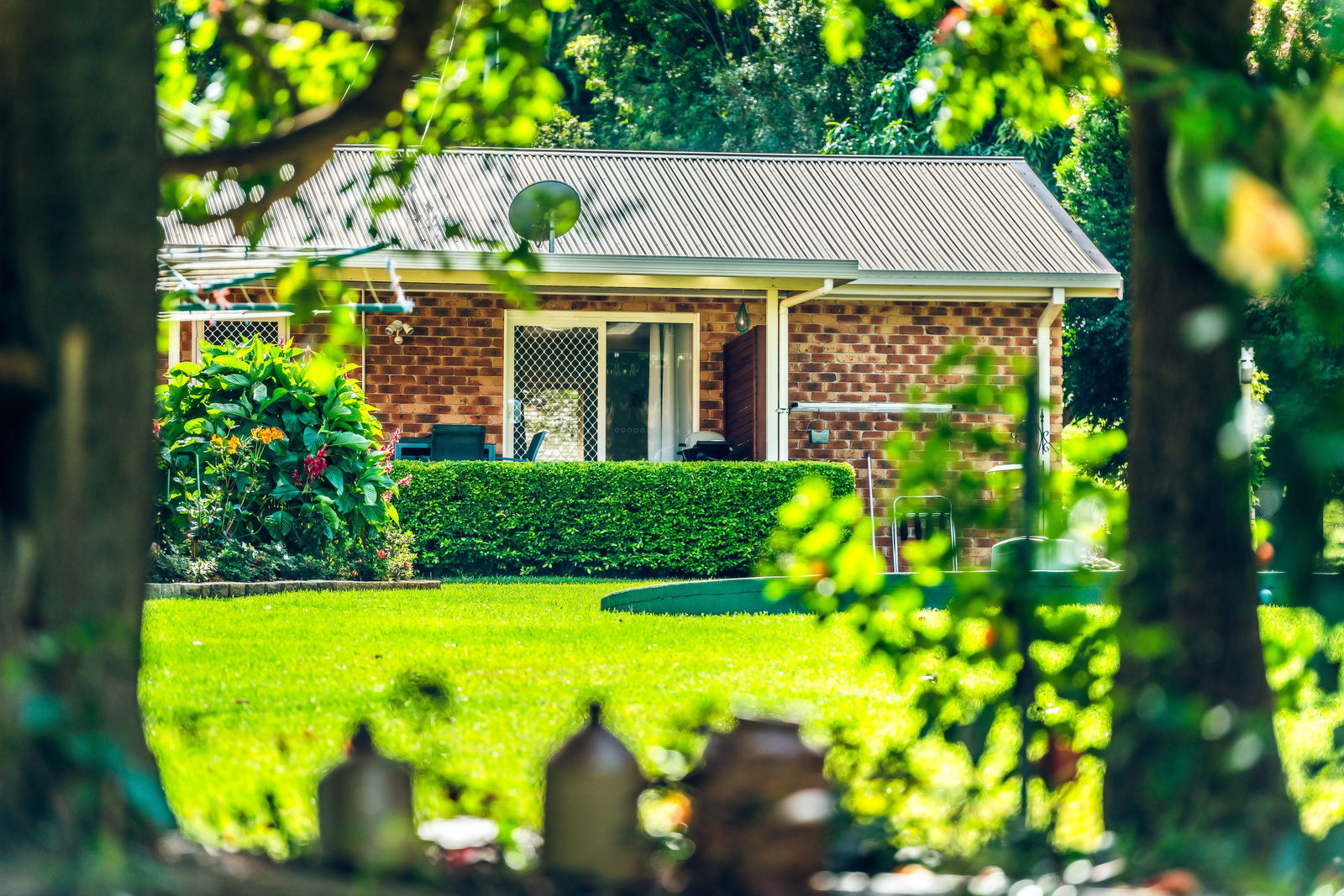 Boambee NSW Accommodation Daintree