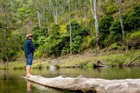 Bass Lodge - Whitsundays Tourism