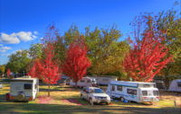 Beechworth Lake Sambell Caravan Park - Tourism Canberra