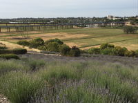 Brayfield Cottage - Accommodation Port Hedland