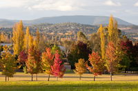 City Centre Motor Inn - Accommodation Sunshine Coast