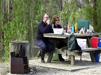 Cypress-pine campground - Yarra Valley Accommodation