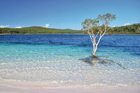 Fraser Island Fishing Units - Tourism Cairns