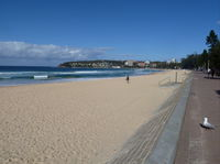 Manly Seaside Cottage - Foster Accommodation