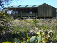 Melaleuca - Eco and Pet Friendly  Harbor Point Cabins - Townsville Tourism