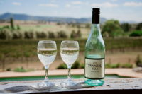 Tranquil Vale Vineyard - Tweed Heads Accommodation