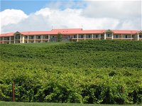 Turners Vineyard Motel - Tourism Cairns