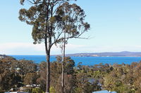 Whale Cove - Mackay Tourism