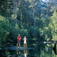 Drafty's Camp at Warren National Park - Mackay Tourism