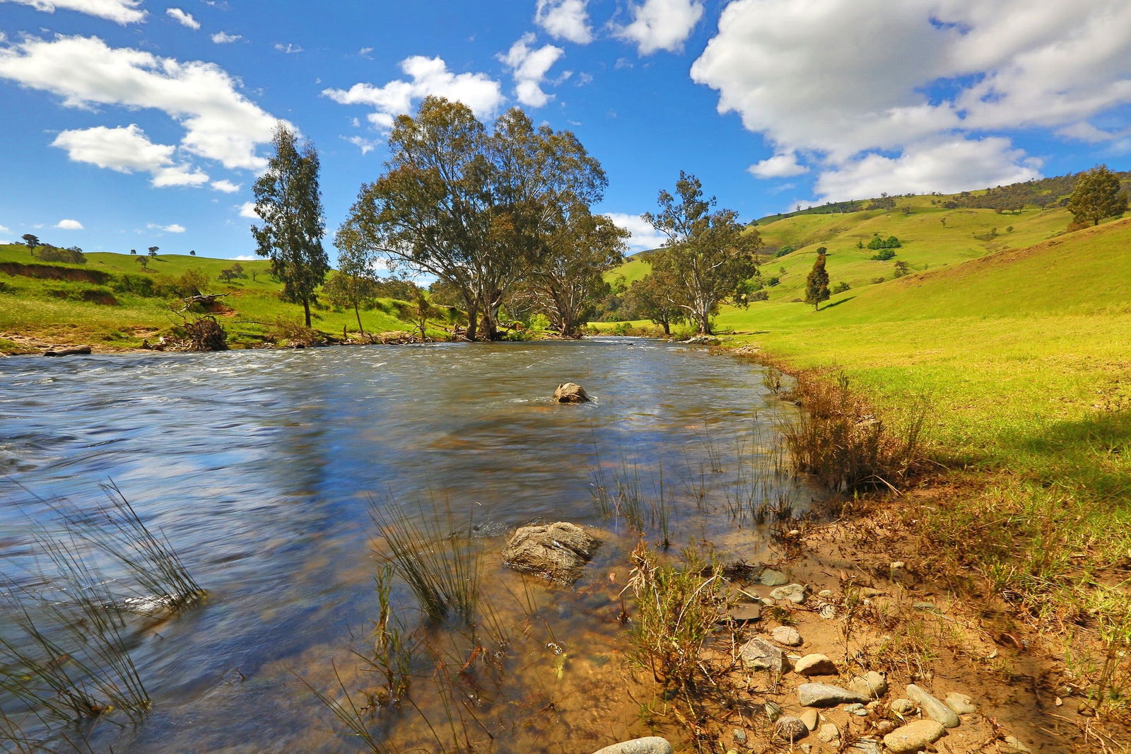 Tumut Plains NSW Dalby Accommodation