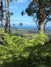 Escarpment - Mackay Tourism