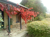 Ethel's Cottage - Mount Gambier Accommodation