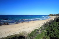 Holiday Haven Swan Lake - Coogee Beach Accommodation