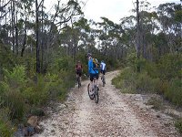 Ingar campground - Accommodation Australia