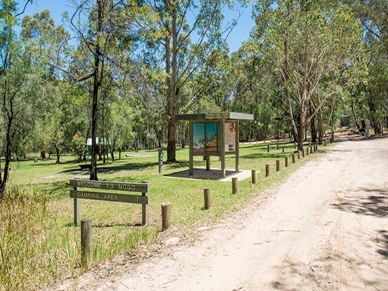 Mogo Creek NSW Accommodation Noosa