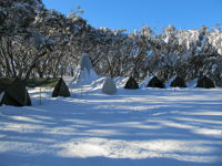 Mt Stirling Alpine Winter Camp - Accommodation Search