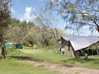 Pebbly Beach campground - Yuraygir National Park - Accommodation NT