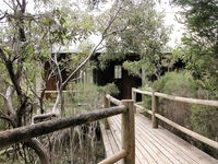 Raven Cottage KI - Taree Accommodation