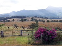 The Barn  House Farm Stay at Possum Manor - Redcliffe Tourism