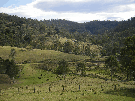 Yasuragi Cabins - Tourism Brisbane