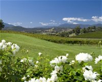 Balgownie Estate Vineyard Resort and Spa - Accommodation Cooktown
