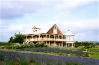 Serendipity Lavender Farm - Accommodation Airlie Beach