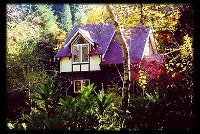 Forest Glade Olinda - Accommodation Tasmania