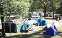Black Spur Motel and Caravan Park - Accommodation NT