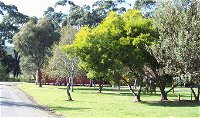 Otways Tourist Park - Geraldton Accommodation