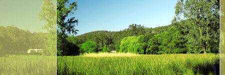 Waterholes VIC Dalby Accommodation