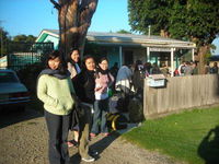 Apollo Bay Backpackers - Maitland Accommodation