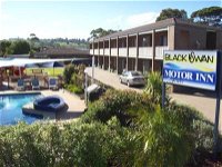 Black Swan Motor Inn - Accommodation Gold Coast