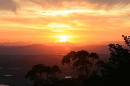 Avocado Sunset - Redcliffe Tourism