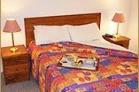 Homestead Motor Inn And Apartments - Tourism Cairns